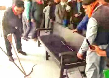 দোষ না করেও ঝালকাঠির আদালতে সাজা পেল সাপ