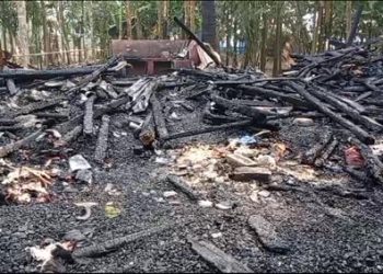 কাঠালিয়ায় বিধবা নুরজাহানের বসতঘর আগুনে পুড়ে ছাই