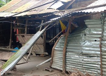 কাঠালিয়ায় জমি নিয়ে বিরোধে হামলায় নারীসহ আহত-৩