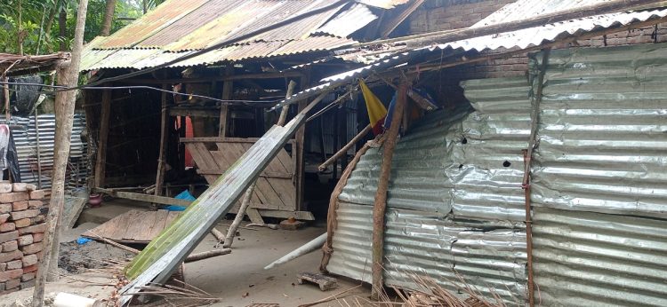 কাঠালিয়ায় জমি নিয়ে বিরোধে হামলায় নারীসহ আহত-৩