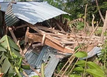 কাঠালিয়ায় ২ টি ঘরে হামলা, ভাংচুর ও লুটপাট