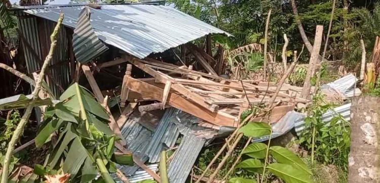 কাঠালিয়ায় ২ টি ঘরে হামলা, ভাংচুর ও লুটপাট