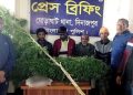 গাঁজা কেনার খরচ কমাতে নিজেই করেছে গাঁজা চাষ