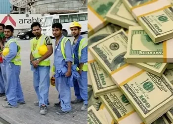 জানুয়ারিতে ২০১ কোটি ডলার রেমিট্যান্স পাঠিয়েছেন প্রবাসীরা