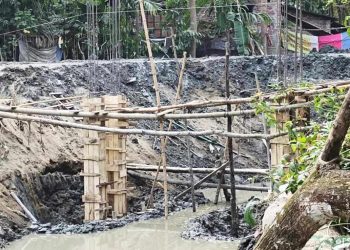 প্রশাসনের অদেশ অমান্য করে সরকারি খালে পারিবারিক সেতু