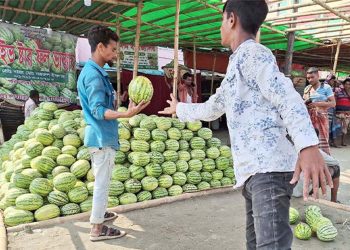 পিস হিসেবে কিনে বাজারে  কেজি দরে বিক্রি