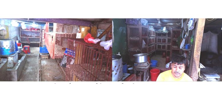 সরকারকে বিব্রত করার জন্য ঝালকাঠির বাজার থেকে হঠাৎ উধাও ব্রয়লার ও সোনালী মুরগী