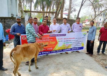 কাঠালিয়ায় জেলেদের মাঝে বকনা বাছুর গরু বিতরণ