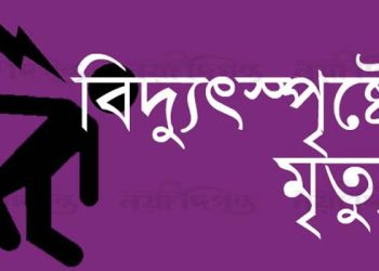 কাঠালিয়ায় বিদ্যুৎস্পৃষ্টে বৃদ্ধার মৃত্যু