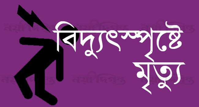 কাঠালিয়ায় বিদ্যুৎস্পৃষ্টে বৃদ্ধার মৃত্যু