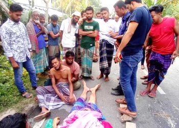 কাঠালিয়ায় যাত্রীবাহী বাসের চাপায় এক ব্যবসায়ী নিহত
