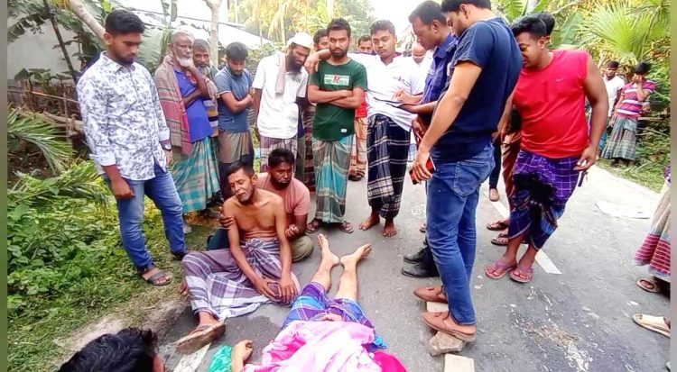 কাঠালিয়ায় যাত্রীবাহী বাসের চাপায় এক ব্যবসায়ী নিহত