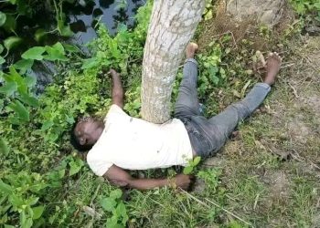 কাঠালিয়ায় ইজিবাইক চালকের লাশ উদ্ধার