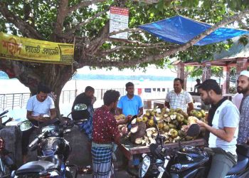 ঝালকাঠিতে তীব্র তাপদাহের মধ্যে প্রশান্তির পরশ নিয়ে বাজারে এসেছে পানি তাল