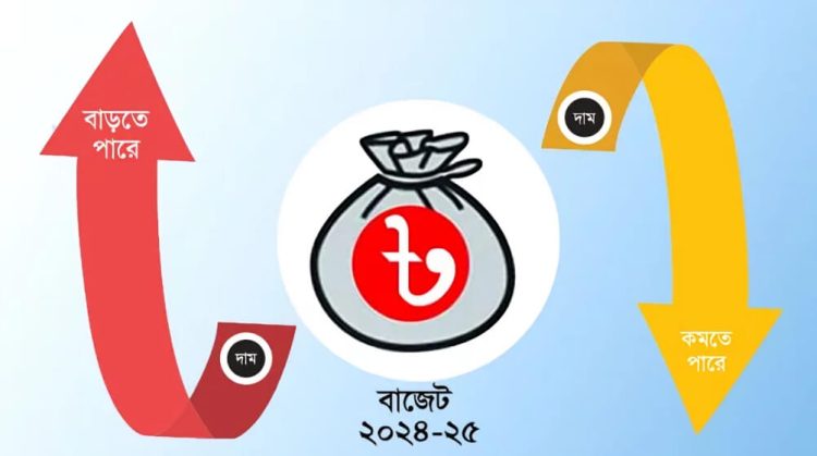 ২০২৪-২৫ অর্থবছরের বাজেট একনজরে
