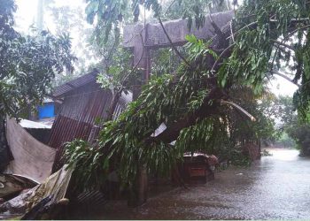 ঝালকাঠি জেলায় গ্রামীণ জনপদে পল্লী বিদ্যুৎ এখনো পুরোপুরি সচল হয়নি, নিরলস কাজ করছে কর্তৃপক্ষ