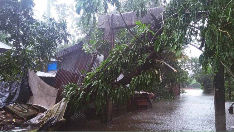 ঝালকাঠি জেলায় গ্রামীণ জনপদে পল্লী বিদ্যুৎ এখনো পুরোপুরি সচল হয়নি, নিরলস কাজ করছে কর্তৃপক্ষ