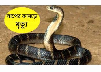 কাঠালিয়ায় সাপের কামড়ে পুলিশের স্ত্রী’র মৃত্যু