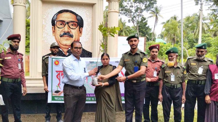 কাঠালিয়ায় আনসার ও ভিডিপি সদস্যদের মাঝে গাছের চারা বিতরণ