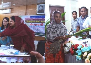 ঝালকাঠিতে উফশী আমন ধানের আবাদ ও উৎপাদন বৃদ্ধির লক্ষে বীজ ও সার বিতরণ