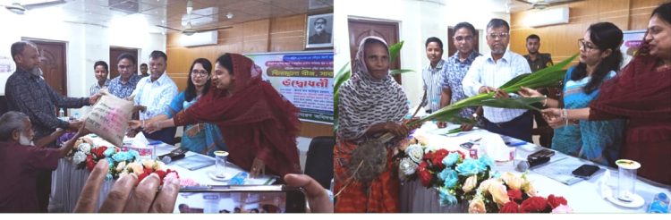 ঝালকাঠিতে উফশী আমন ধানের আবাদ ও উৎপাদন বৃদ্ধির লক্ষে বীজ ও সার বিতরণ