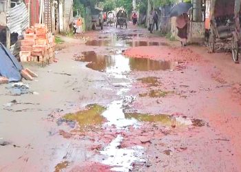 ঝালকাঠি পৌরসভার ১৬ সড়ক যেন মরণফাঁদ
