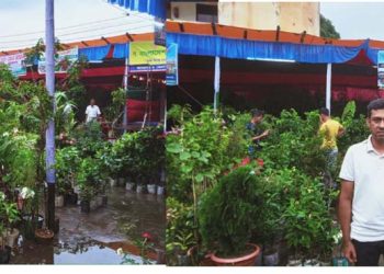 ঝালকাঠিতে সপ্তাহব্যাপী বৃক্ষমেলা