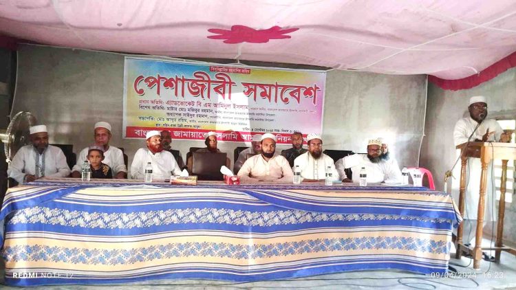 কাঠালিয়ায় বাংলাদেশ জামায়াতে ইসলামীর পেশাজীবী সমাবেশ