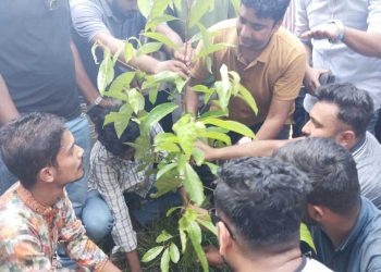 রাজাপুর সরকারি কলেজে ছাত্রদল সম্পাদকের বৃক্ষরোপণ