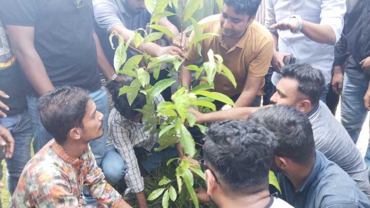 রাজাপুর সরকারি কলেজে ছাত্রদল সম্পাদকের বৃক্ষরোপণ