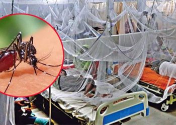 ডেঙ্গুতে আক্রান্ত হয়ে একদিনে প্রাণ হারিয়েছেন ৬ জন