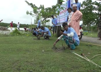 কাঠালিয়ায় পরিবেশের ভারসম্য রক্ষায় বৃক্ষ রোপন