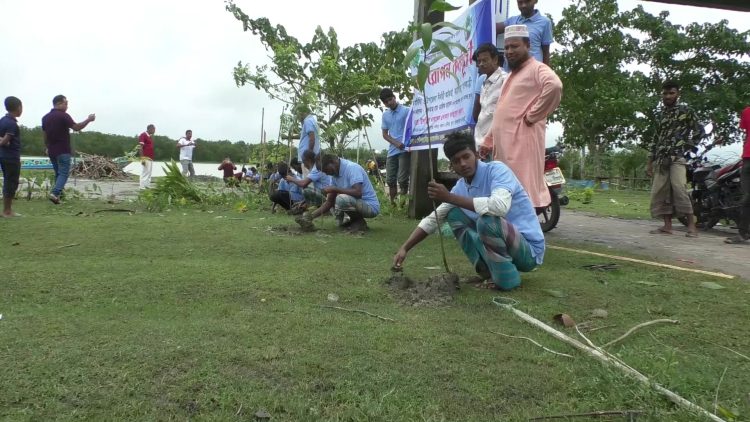 কাঠালিয়ায় পরিবেশের ভারসম্য রক্ষায় বৃক্ষ রোপন