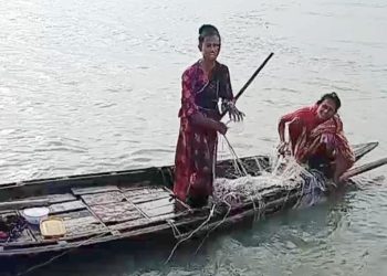 ঝালকাঠির সুগন্ধা ও বিষখালীতে চলছে ইলিশ নিধন উৎসব