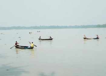 ঝালকাঠিতে অভিযানের ট্রলার চালকের নেতৃত্বে ধরা হয় ইলিশ
