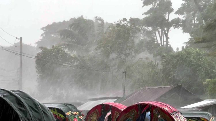 কাঠালিয়ায় ঘূর্ণিঝড় দানা’র প্রভাবে ভারী বৃষ্টি ও দমকা হাওয়া, প্রস্তুত ৮১টি আশ্রয়কেন্দ্র