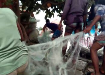 ঝালকাঠিতে ৮দিনে মা ইলিশ রক্ষা কার্যক্রমে ১ লাখ ১৩ হাজার ৭০০ মিটার জাল জব্দ