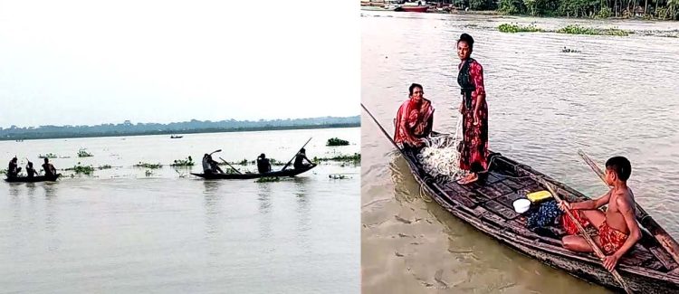 ঝালকাঠিতে নিষেধাজ্ঞা অমান্য করে চোরাগুপ্তা মা ইলিশ শিকার করছে মৌসুমী জেলেরা