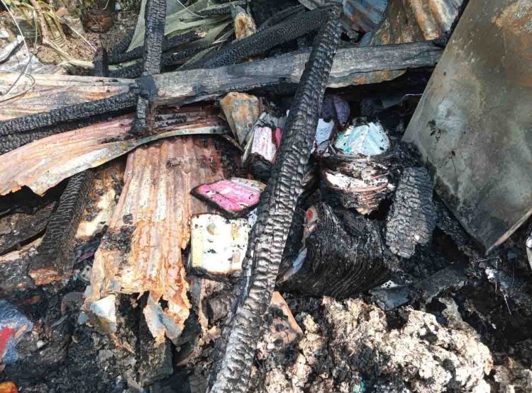 কাঠালিয়ায় অগ্নিকান্ডে বসতঘর ও গবাদিপশুর পুড়ে ছাই