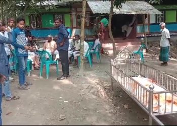 নলছিটিতে ইঁদুর মারা ওষুধ খেয়ে দুই শিশুর মৃত্যু