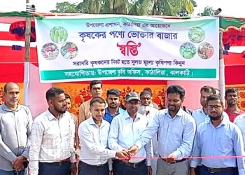 কাঠালিয়ায় নিত্য প্রয়োজনীয় পণ্যের মূল্য নিয়ন্ত্রণ রাখতে কৃষকের ‘স্বস্তি’র বাজার