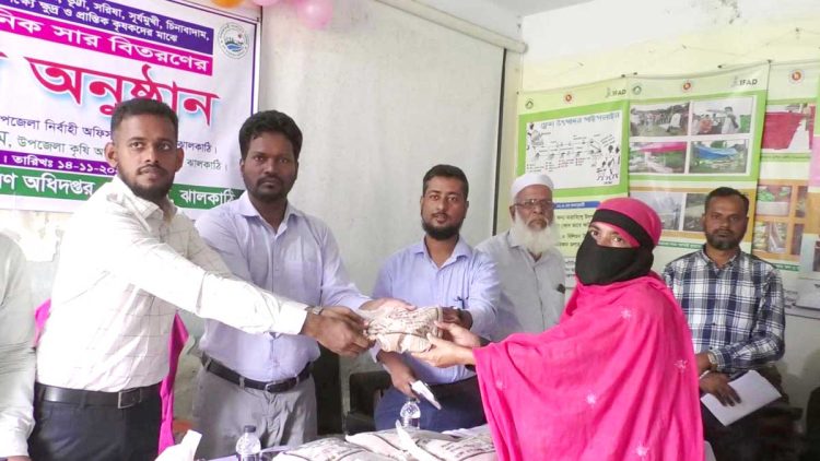 কাঠালিয়ায় কৃষকদের মাঝে কৃষি বীজ ও রাসায়নিক সার বিতরণ