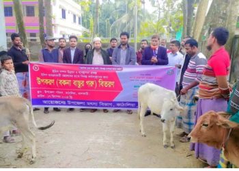 কাঠালিয়ায় জেলেদের মধ্যে বকনা বাছুর বিতরণ