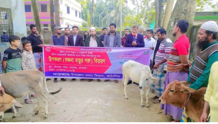 কাঠালিয়ায় জেলেদের মধ্যে বকনা বাছুর বিতরণ