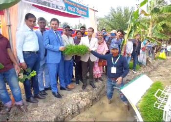 ঝালকাঠিতে রাইস ট্রান্সপ্লান্টারের মাধ্যমে ধানের চারা রোপন কর্মসূচির উদ্বোধন
