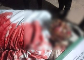 নলছিটিতে সড়ক দূর্ঘটনায় মাদ্রাসা শিক্ষক নিহত