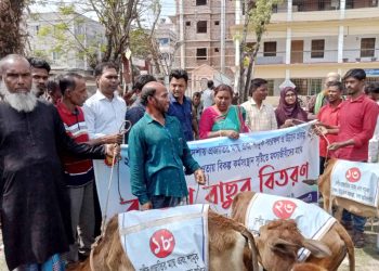 ঝালকাঠি সদর উপজেলায় ৩৫ টি মৎসজীবী পরিবারে মধ্যে ৩৫ বকনা বাছুর বিতরণ