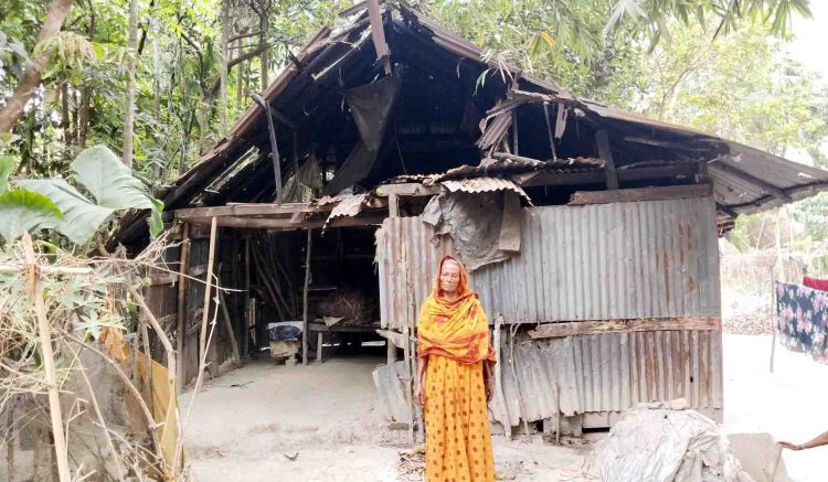 বিধবা রাজিয়া বেগমের মানবেতর জীবন—ভাঙা ঘরে অনিশ্চিত ভবিষ্যৎ