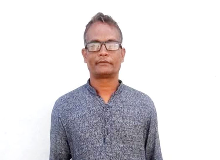 কাঠালিয়ায় ভিমরুলের কামড়ে সাবেক সেনা সদস্যের মৃত্যু