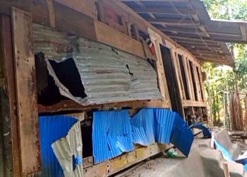 কাঠালিয়ায় বসত ঘর ও দোকানে সন্ত্রাসী হামলা